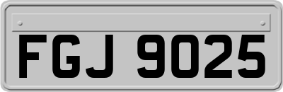 FGJ9025