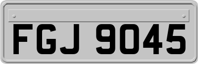 FGJ9045