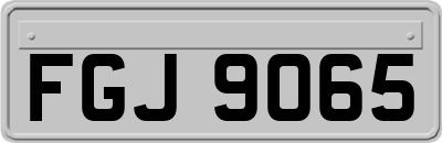 FGJ9065