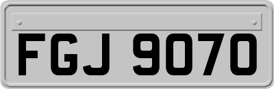 FGJ9070