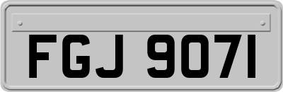 FGJ9071