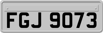 FGJ9073