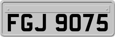 FGJ9075
