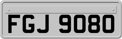 FGJ9080