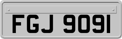 FGJ9091