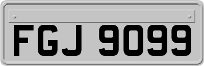 FGJ9099