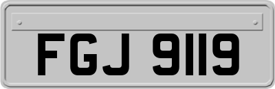 FGJ9119