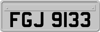 FGJ9133
