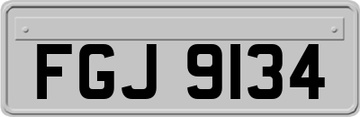 FGJ9134