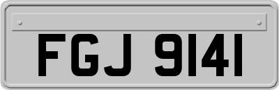FGJ9141