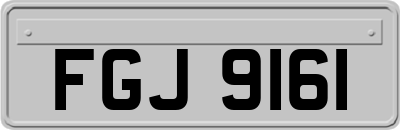 FGJ9161