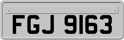 FGJ9163