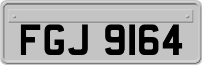 FGJ9164
