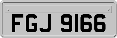 FGJ9166