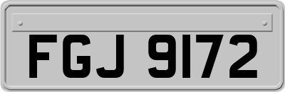 FGJ9172