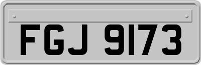 FGJ9173