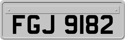 FGJ9182