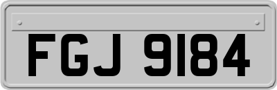 FGJ9184