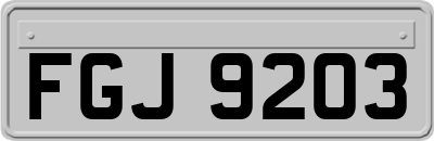 FGJ9203