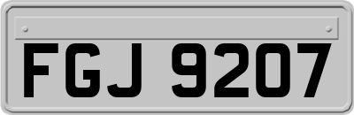 FGJ9207