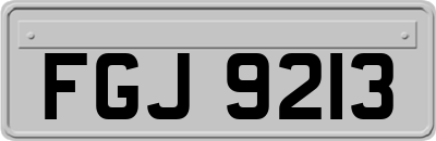 FGJ9213