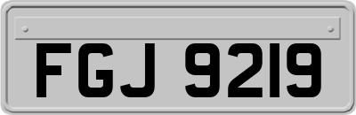 FGJ9219