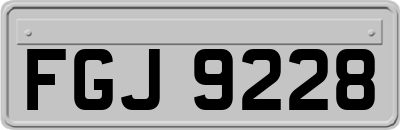 FGJ9228