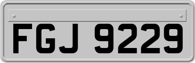 FGJ9229