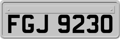 FGJ9230