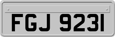 FGJ9231