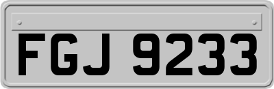 FGJ9233