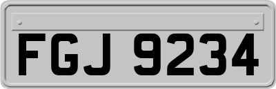 FGJ9234