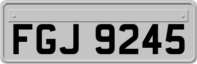 FGJ9245