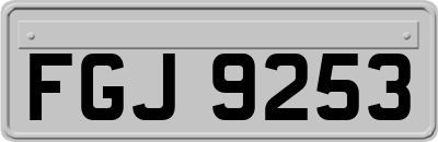 FGJ9253