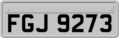FGJ9273