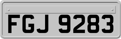 FGJ9283