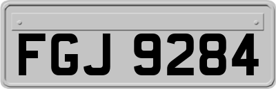 FGJ9284