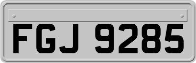FGJ9285
