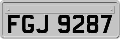 FGJ9287