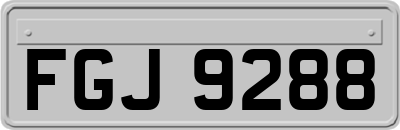 FGJ9288