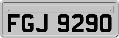 FGJ9290