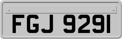 FGJ9291