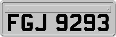 FGJ9293