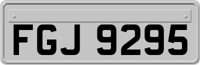 FGJ9295