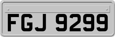 FGJ9299