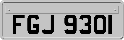 FGJ9301