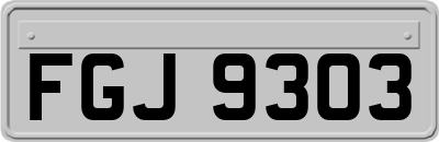FGJ9303