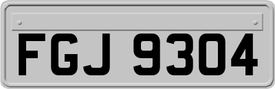 FGJ9304