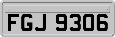 FGJ9306