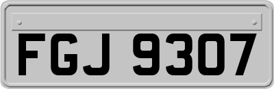 FGJ9307